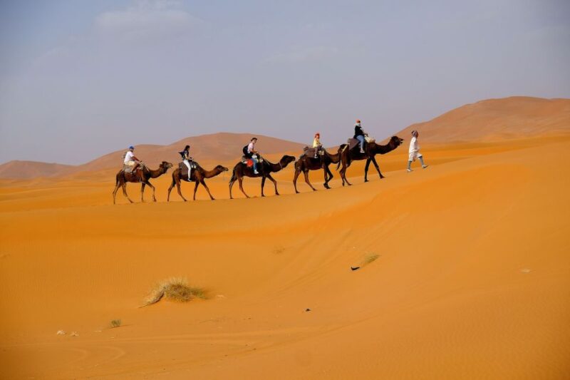 From Fes: 2-Day Merzouga Desert Trip W/Luxury Tent & Dinner - Transportation and Accessibility
