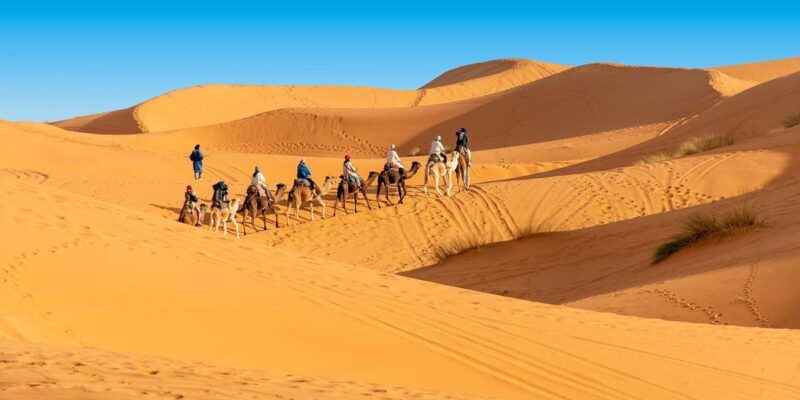 From Fes: 2-Day Merzouga Desert Trip(Luxury Tent & Dinner) - Accommodation and Meals