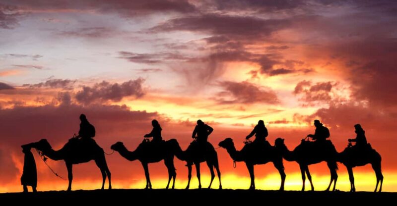 From Fes: 2 Days Desert Tour To Marrakech/Fes Share Tour - Inclusions