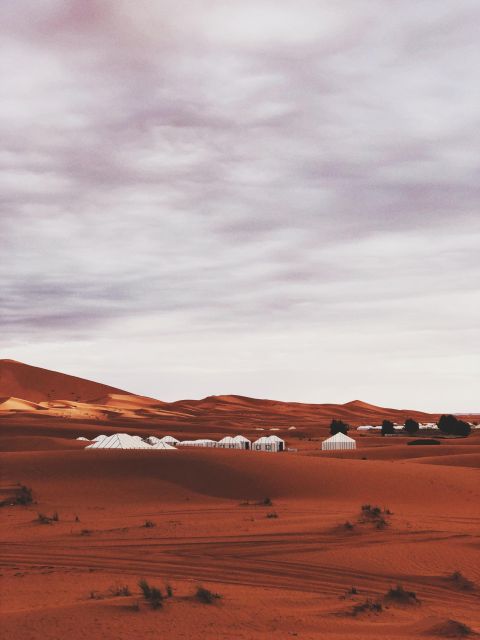 From Fes: 2 Days Sahara Tour With Camel Ride& Sandboarding - Meeting Point and Contact