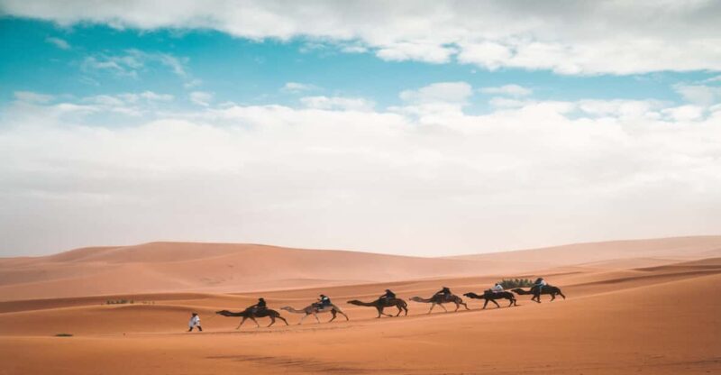 From Fes: 3-Day 2-Night Desert Tour to Marrakech - Tour Overview and Pricing