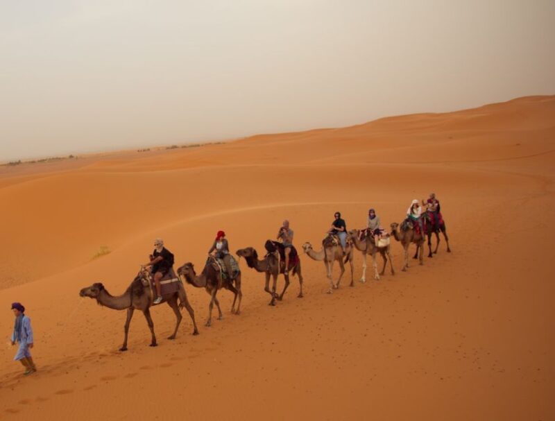From Fes: 3-Day, 2-Night Desert Trip to Merzouga - Itinerary Highlights