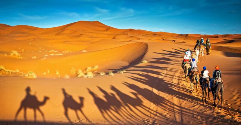 From Fes: 3-Day Desert Tour to Marrakech With Camel Ride - Camel Trekking and Desert Camp