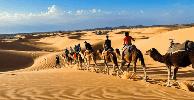 From Fes: 3-Day Desert Tour to Marrakech With Luxury Camp - Discover the Enchanting Ifrane