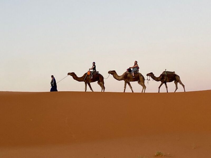 From Fes: 3-Day Luxury Desert Tour to Marrakech via Merzouga - Itinerary Highlights