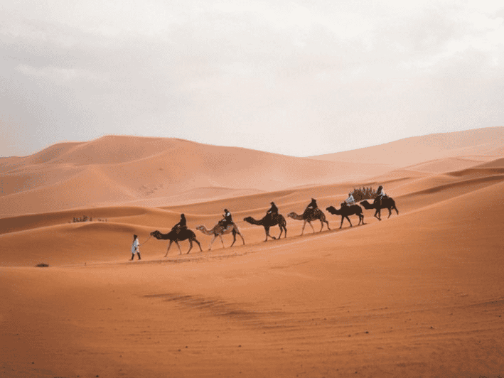 From Fes: 3 Day Merzouga Desert Tour to Marrakech - Good To Know