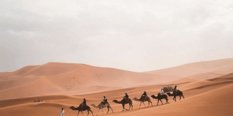 From Fes: 3 Day Merzouga Desert Tour to Marrakech - Itinerary Highlights