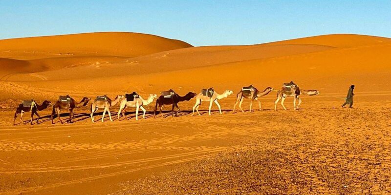 From Fes: 3-Day Merzouga Tour With Camel Ride & Luxury Camp - Traversing the Ziz Valley