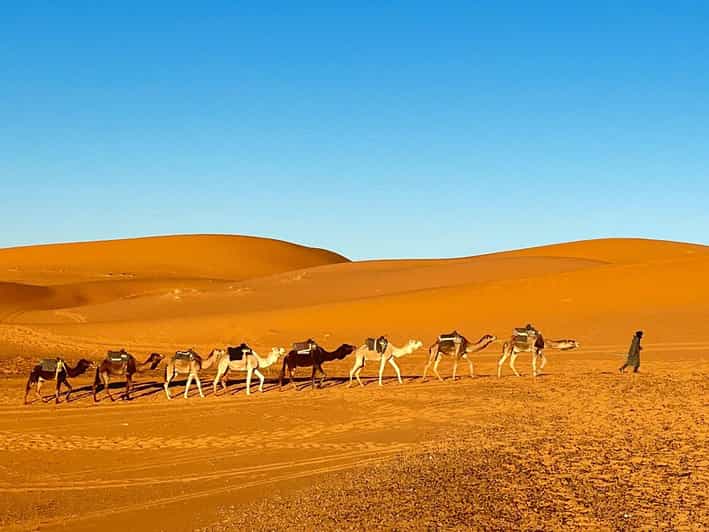 From Fes: 3-Day Merzouga Tour With Camel Ride & Luxury Camp - Taking in Nomadic Culture