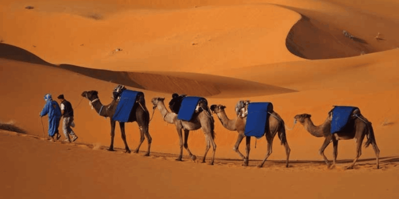 From Fes: 3-Day Sahara Desert Tour to Marrakech - Inclusions and Exclusions