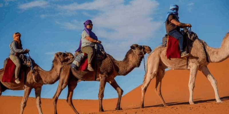 From Fes : 3 Day Sahara Desert Tour to Marrakech - Cultural Experiences