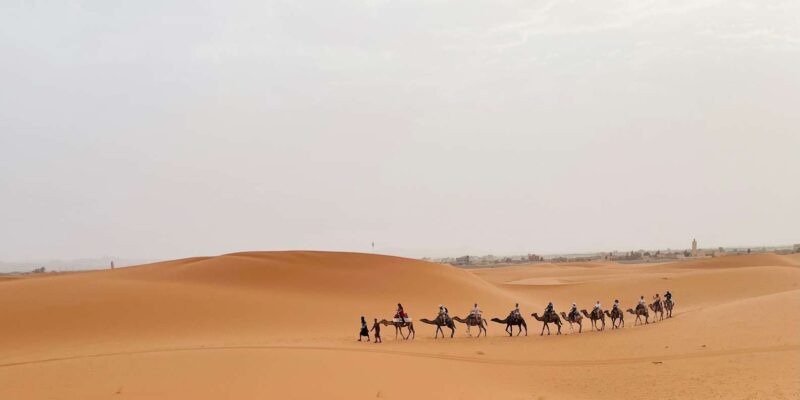 From Fes 3 Days & 2 Nights Shared Desert Tour - Contact and Booking Information