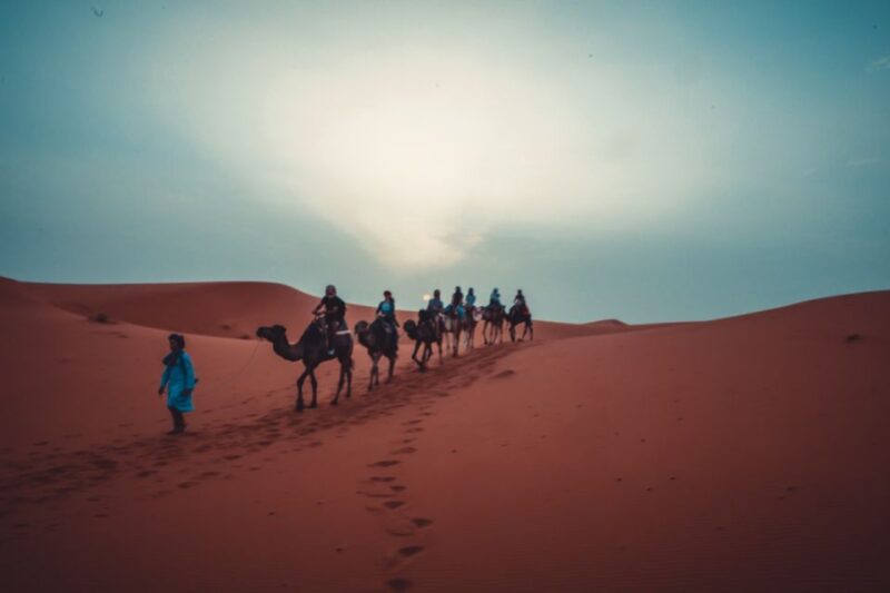 From Fes: 3 Days and 2 Nights Desert Trip to Marrakech - Trip Overview