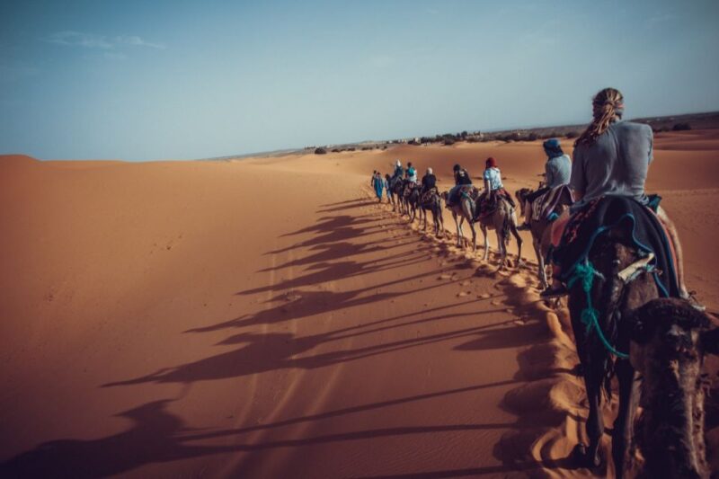 From Fes: 3 Days and 2 Nights Desert Trip to Marrakech - Customer Ratings