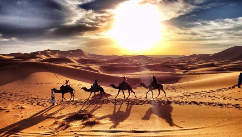 From Fes: 3-Days Desert Tour to Marrakech - Exploring Todra Gorge