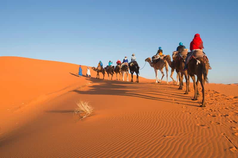 From Fes : 3 Days Desert Tour to Marrakech via Merzouga - Good To Know