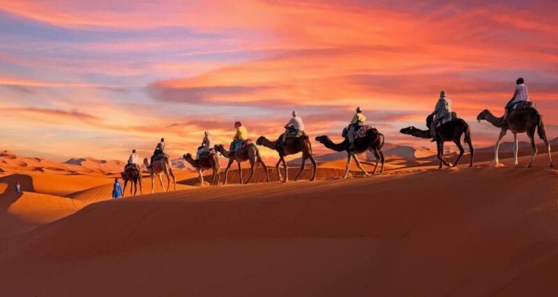 From Fes: 4-Day Desert Tour to Marrakech - Good To Know