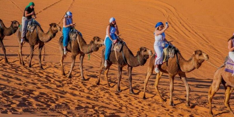 From Fes: 4-Day Trip to Marrakech via Merzouga & Gorges - Accommodation and Meals