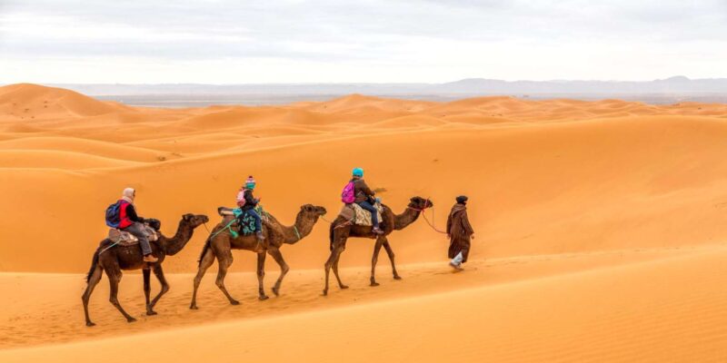 From Fes : 4-Days Desert Merzouga Tour To Marrakech - Highlights of the Itinerary