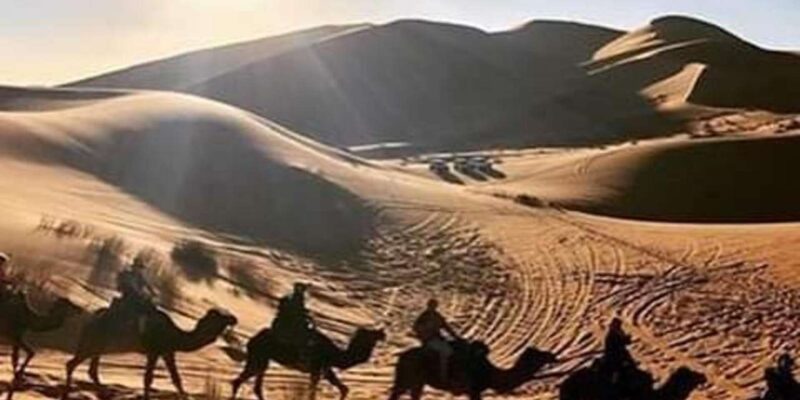 From Fes: 6-Day Desert Tour to Marrakech via Merzouga - Itinerary Highlights