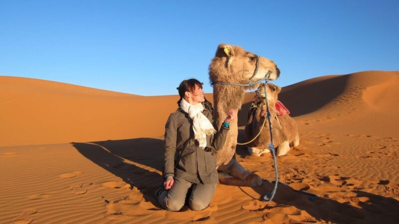 From Fes : 7 Days Desert Tours to Marrakech - Seamless Transportation and Accommodation