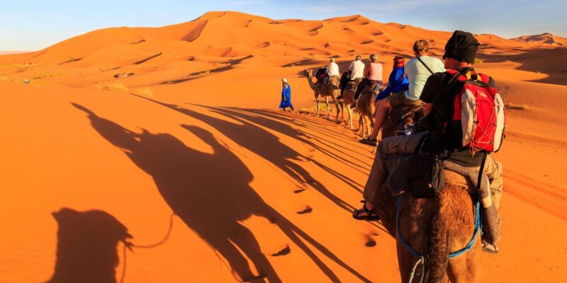 From Fes : 7-days Moroccan Tour One Week - Itinerary Highlights