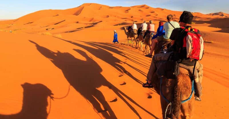 From Fes : 7-days Moroccan Tour One Week - Day 1: Fes to Chefchaouen