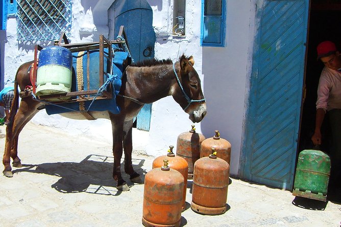From Fes : Chefchaouen Day Trip With Small Group - Practical Tips