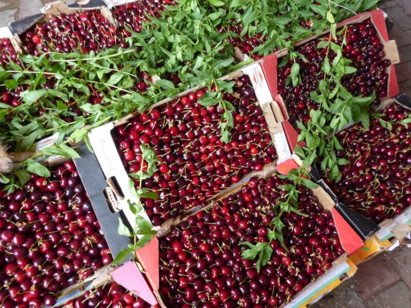 From Fes: Day Trip to Sefrou & Bhalil - Scenic Drives and Local Festivals