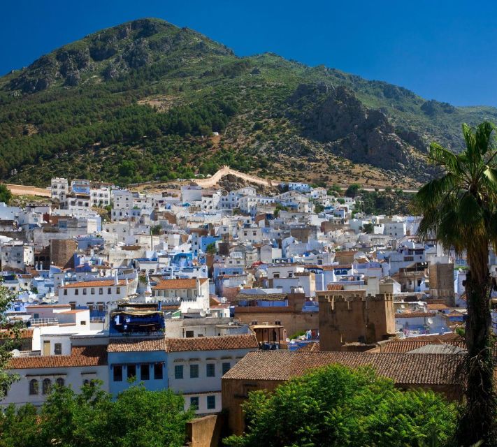 From Fes: Day Trip to The Blue City Chefchaouen - Scenic Journey
