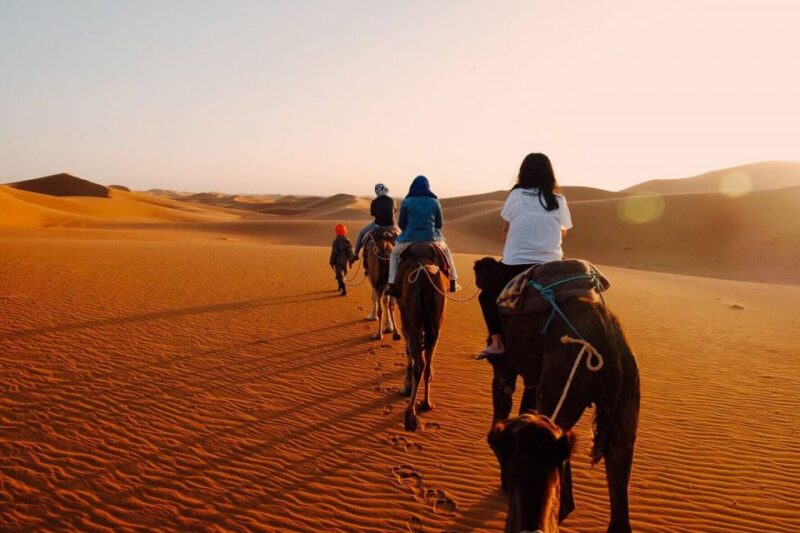 From Fes: Private 2-day Sahara Desert Tour - Itinerary Details: Day 2