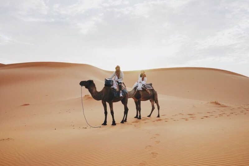 From Fes: Private 2-day Sahara Desert Tour - Customer Reviews and Ratings