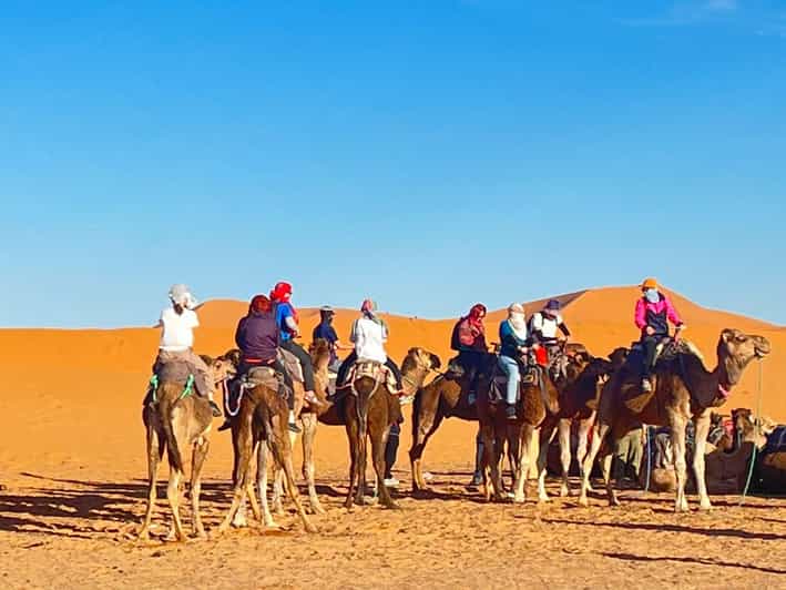 FROM FES: Private 3 Days to Marrakech With LUXURY CAMP - Inclusions