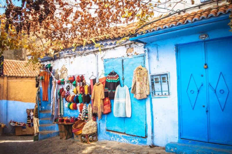 From Fes: Private Day Trip to Chefchaouen - Accessibility and Group Size