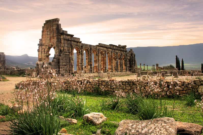 From Fes : Private Volubilis Moulay Idriss & Meknes Day Trip - Good To Know