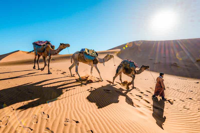 From Fes to Marrakech: 3-Day Sahara Desert Discovery Tour - Good To Know