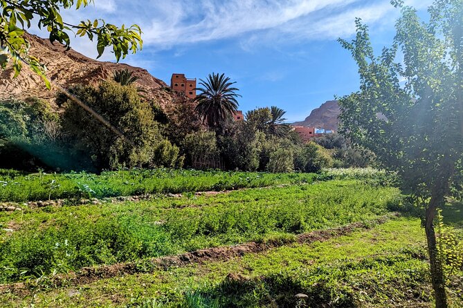 From Fes to Marrakech : 3 Days Tour via the Desert of Merzouga - Day 2 Adventures