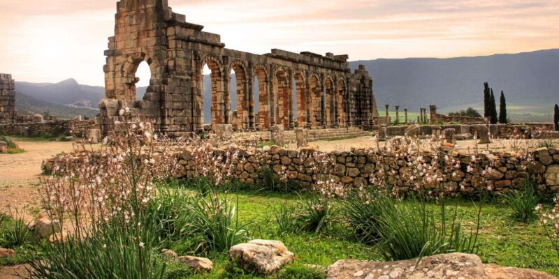 From Fes : Volubilis, Moulay Idriss & Meknes Day Trip - Exploring Volubilis Roman Ruins