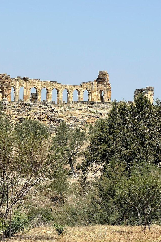 From Fes : Volubilis, Moulay Idriss & Meknes Day Trip - Discovering Meknes Medina