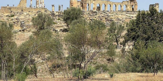 From Fes : Volubilis, Moulay Idriss & Meknes Day Trip - Additional Inclusions