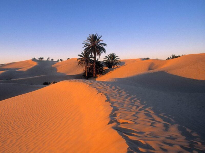 From Fes:3Days 2Nights Desert Trip to Marrakech via Merzouga - Good To Know