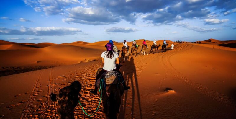 From Fez: 2-Day Marrakech via Merzouga Desert Tour - Dining Under the Stars