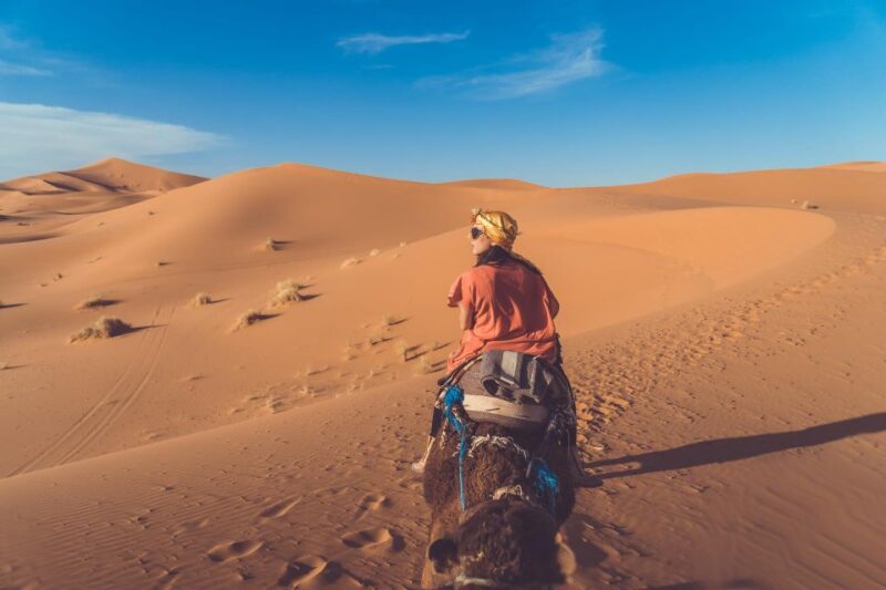 From Fez: 2-Days Desert Tour to Marrakech via Merzouga - Good To Know