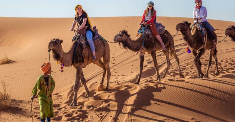 From Fez: 2-Days Desert Tour to Marrakech via Merzouga - Luxury Desert Camp