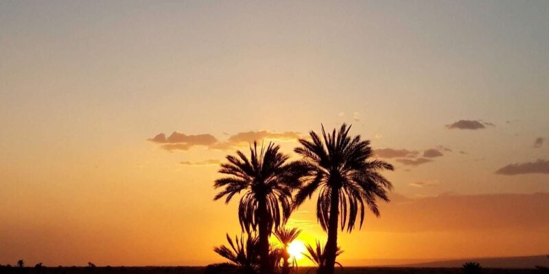 From Fez: 3-Day Excursion to the Merzouga Desert Luxury Tent - Itinerary Day 2: Exploring Oases