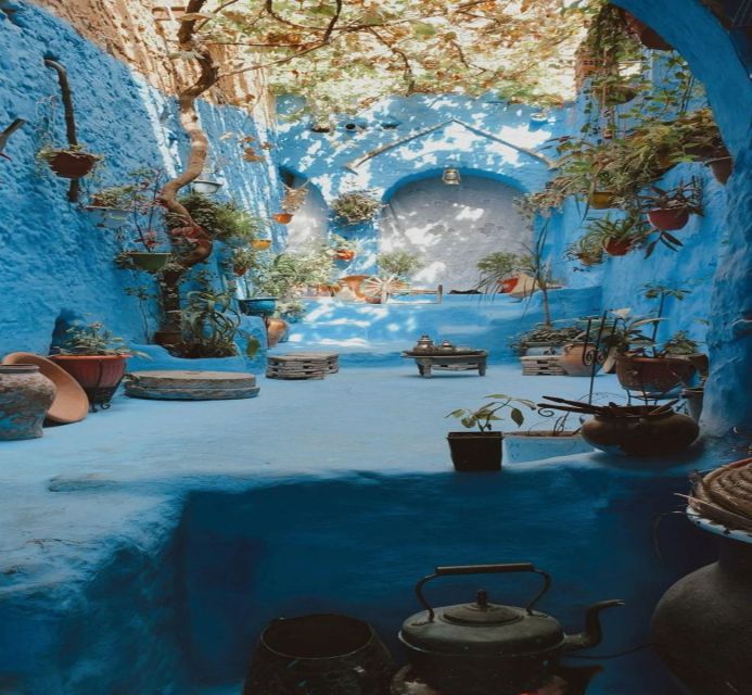 From Fez: Chefchaouen Guided Day Tour - Transportation and Comfort