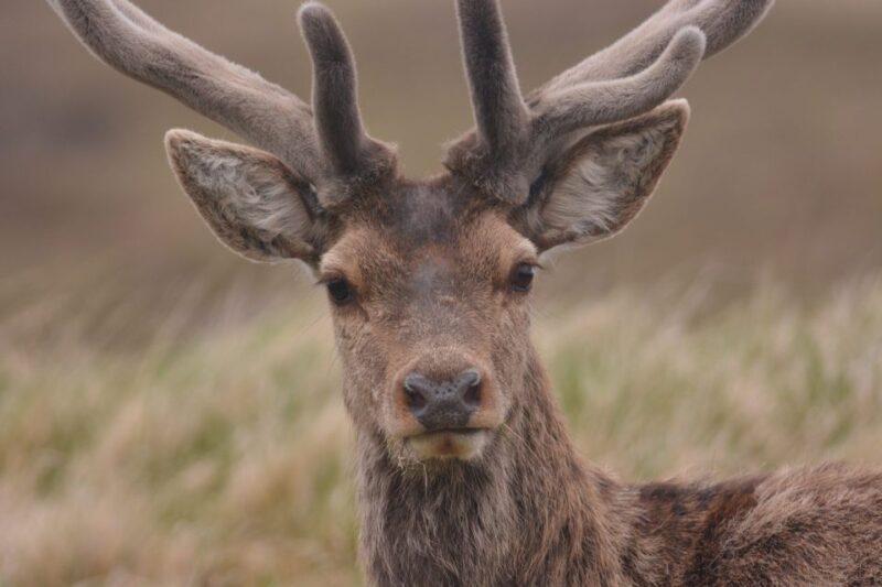 From Fez: Day Trip to Tezzeka National Park - Highlights of the Journey