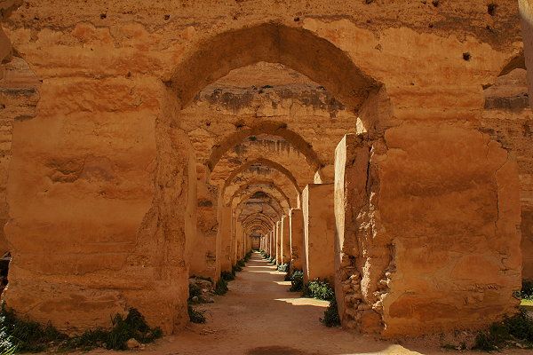 From Fez: Meknes, Volubilis and Moulay Idriss Day Trip - Itinerary Highlights