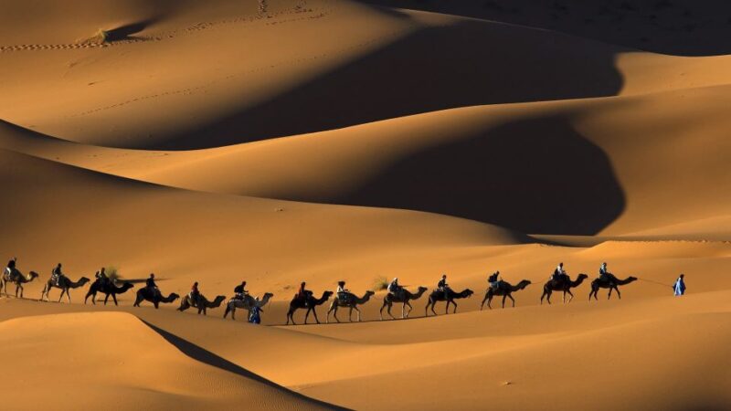 From Fez: Merzouga Desert 2-Day Trip With Desert Camp Tent - Important Information and Recommendations