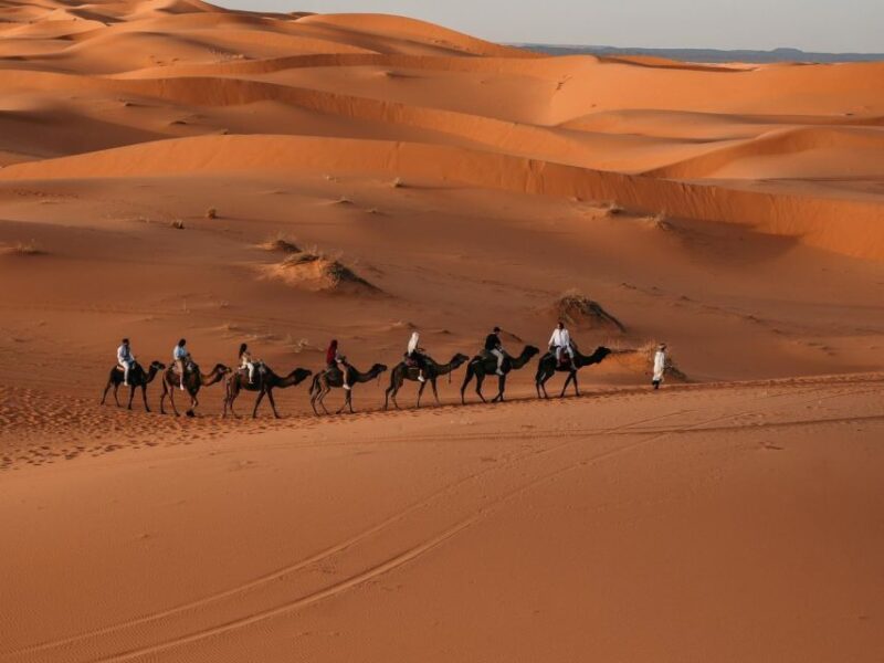 From Fez: Merzouga Desert 2-Day Trip With Desert Camp Tent - Customer Feedback